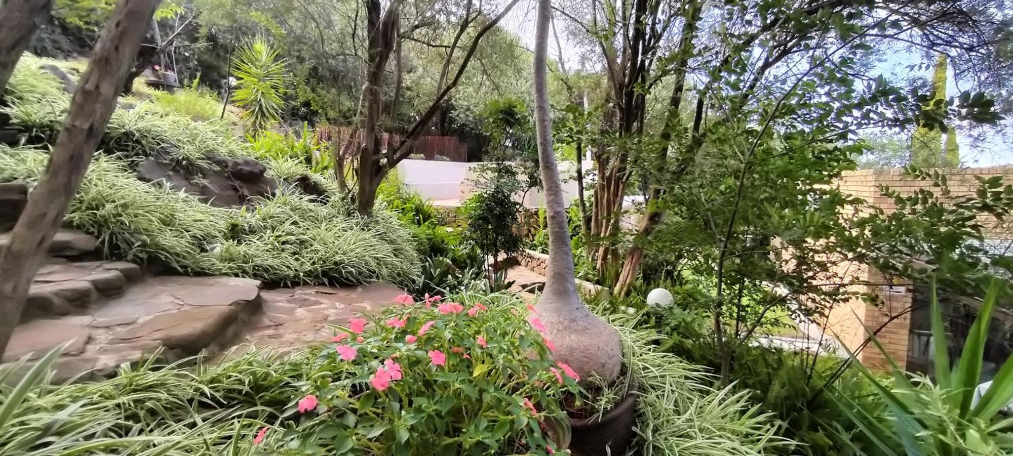 Mountain Gem Bed & Breakfast Bloemfontein Luaran gambar