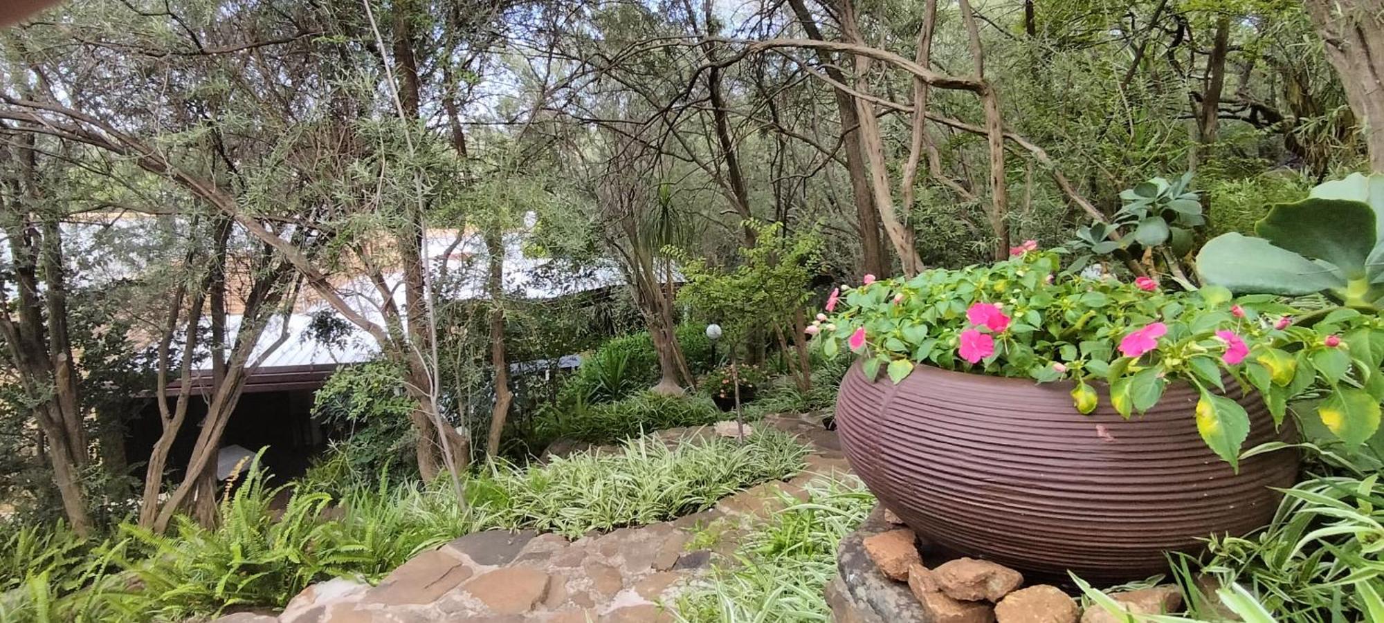 Mountain Gem Bed & Breakfast Bloemfontein Luaran gambar